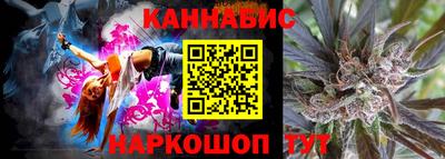 индика Будённовск