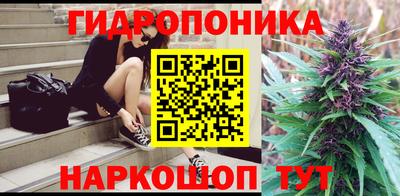 индика Будённовск