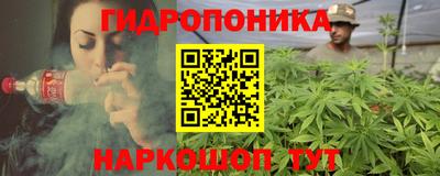 индика Будённовск