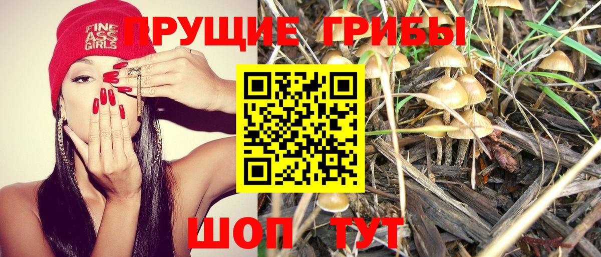 Тимашёвск  Галлюциногенные грибы GOLDEN TEACHER  Вход с VPN 