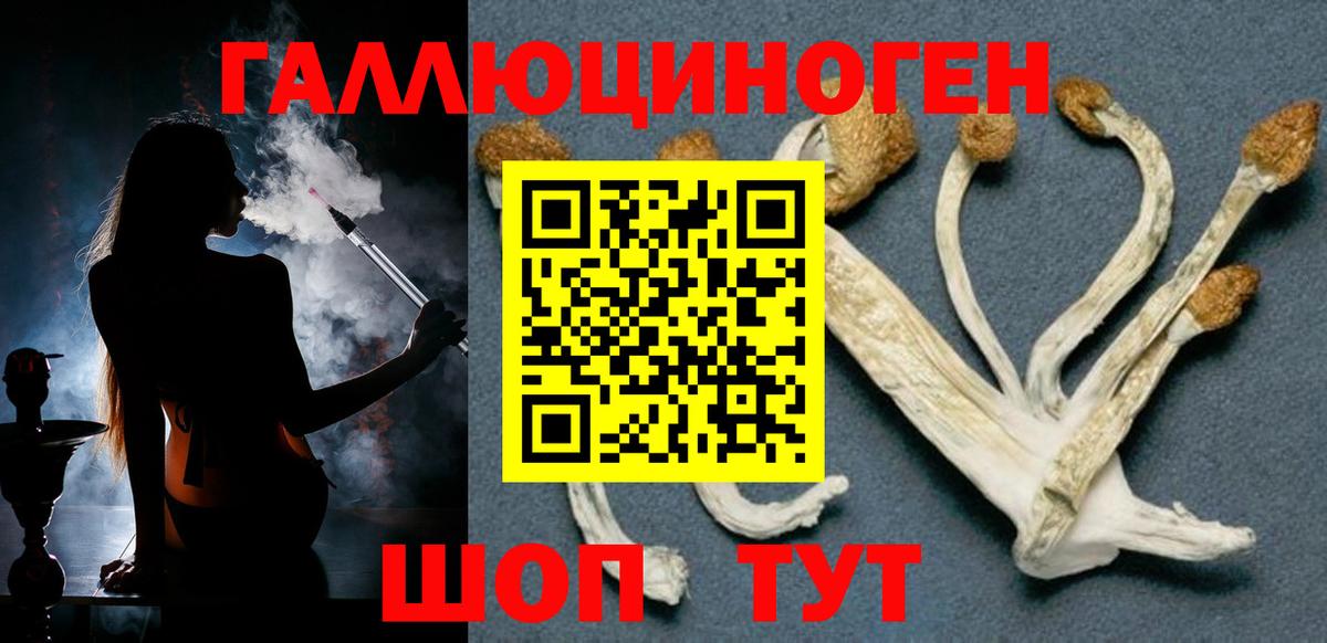 Псилоцибиновые грибы GOLDEN TEACHER Тимашёвск